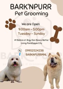 Read more about the article We are Open from Tuesday to Sunday