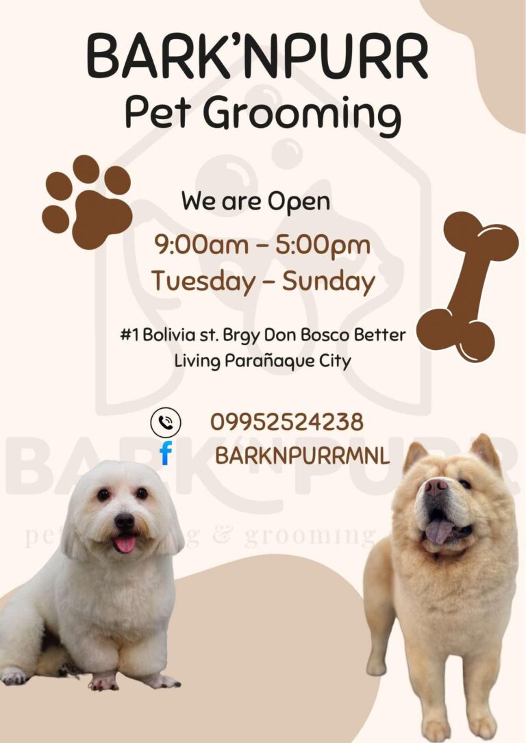 Read more about the article We are Open from Tuesday to Sunday