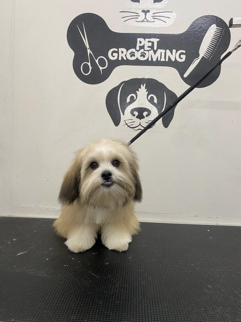 Read more about the article Before and after