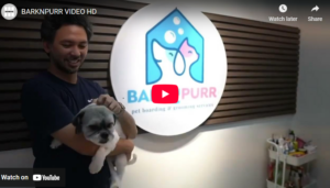 Read more about the article Welcome to BARK ‘N PURR